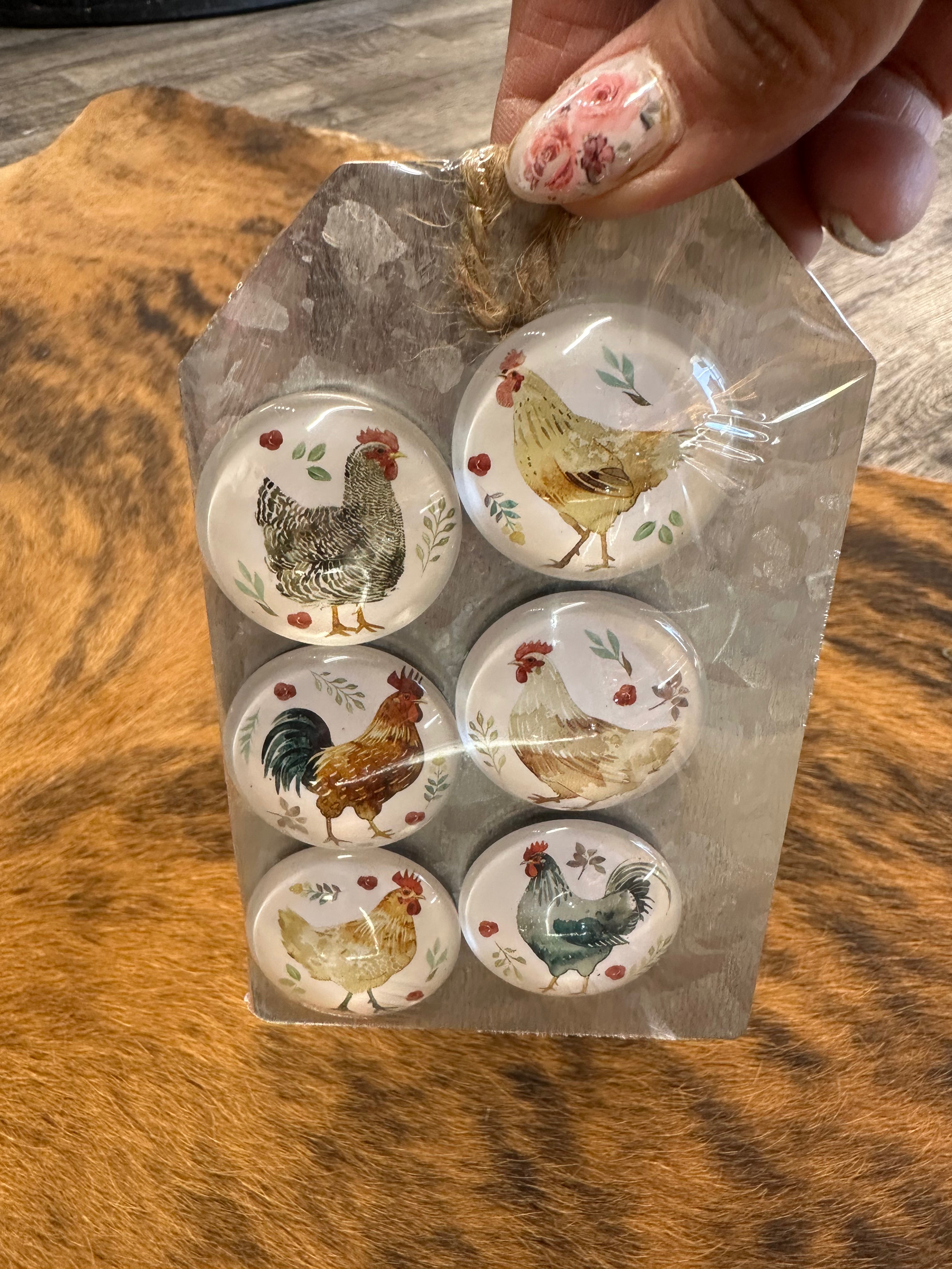 Chicken Magnets